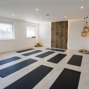 Siva Yoga Studio